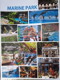 ทำทัวร์ทำทริปเรายินดพร้อมคุณไปได้ทุกที่